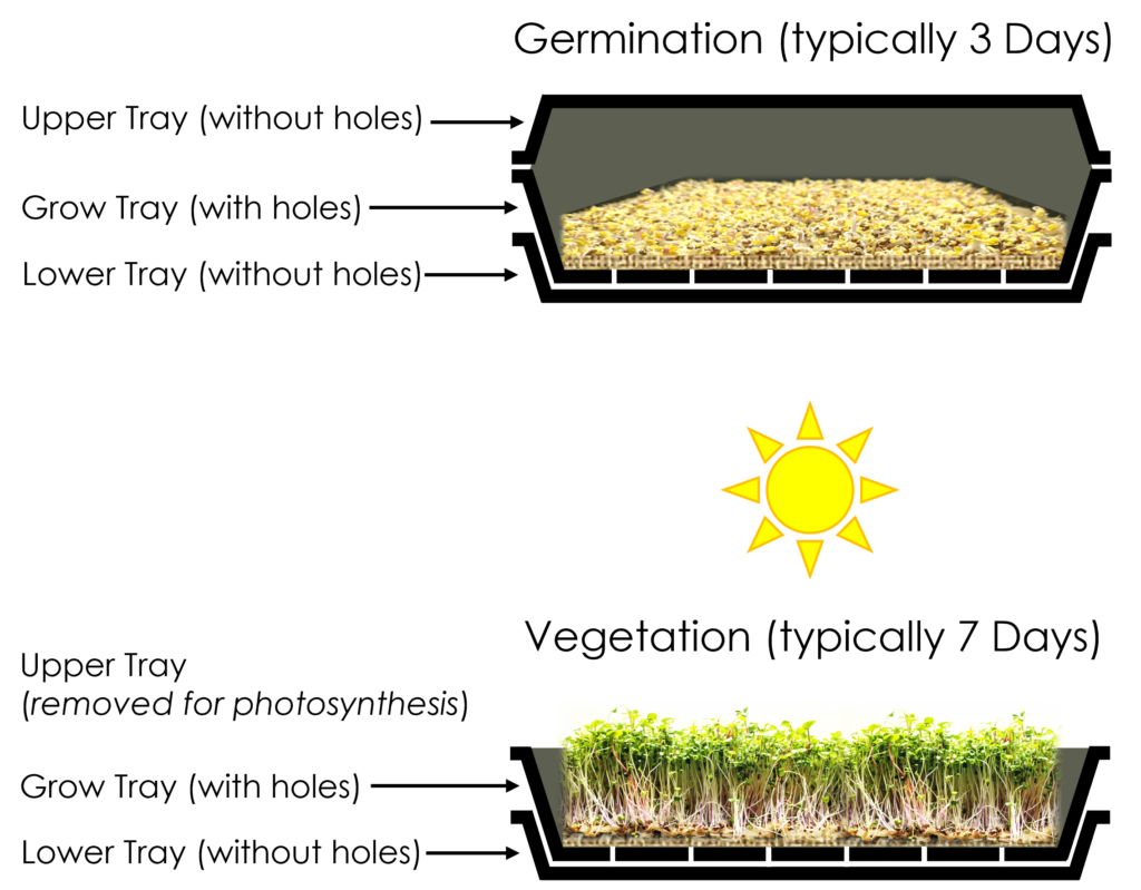 Student Farmers System 1